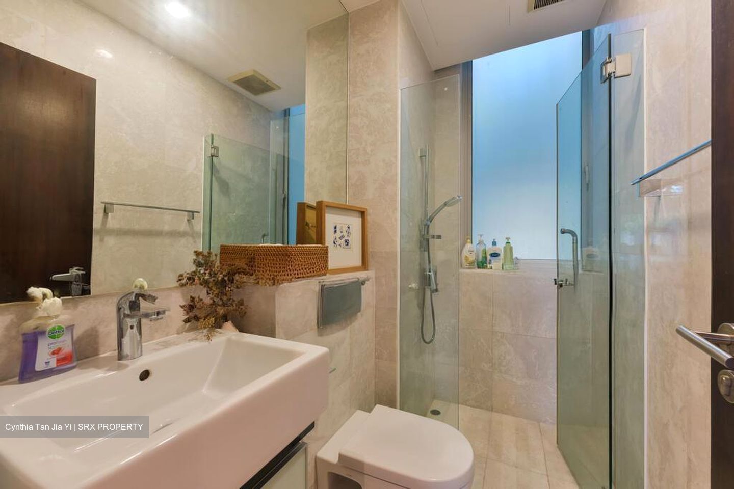 The Fernhill (D10), Apartment #566226671